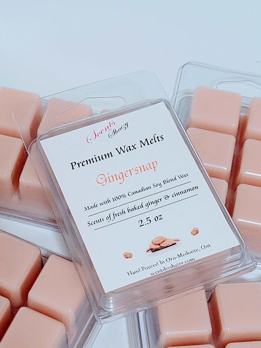 Gingersnap Wax Melt 🍪 - Scents By Shaizy