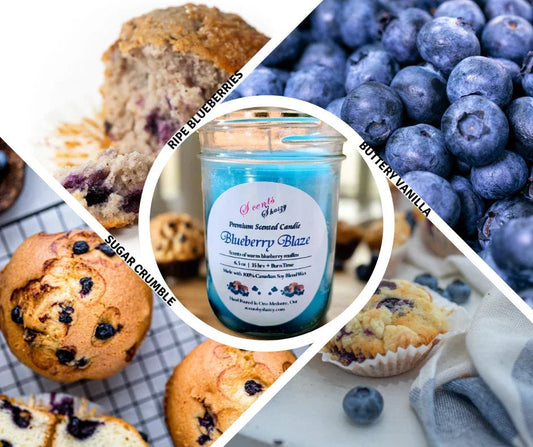 Blueberry Blaze - Scents By Shaizy