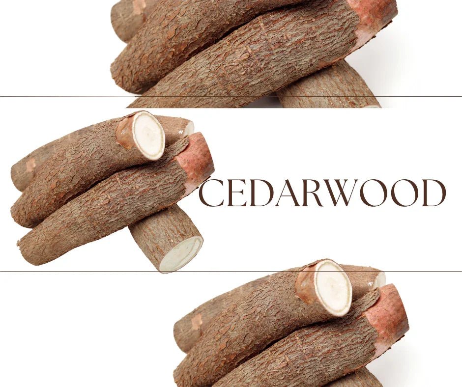 Cedarwood Essential Oil - Scents By Shaizy