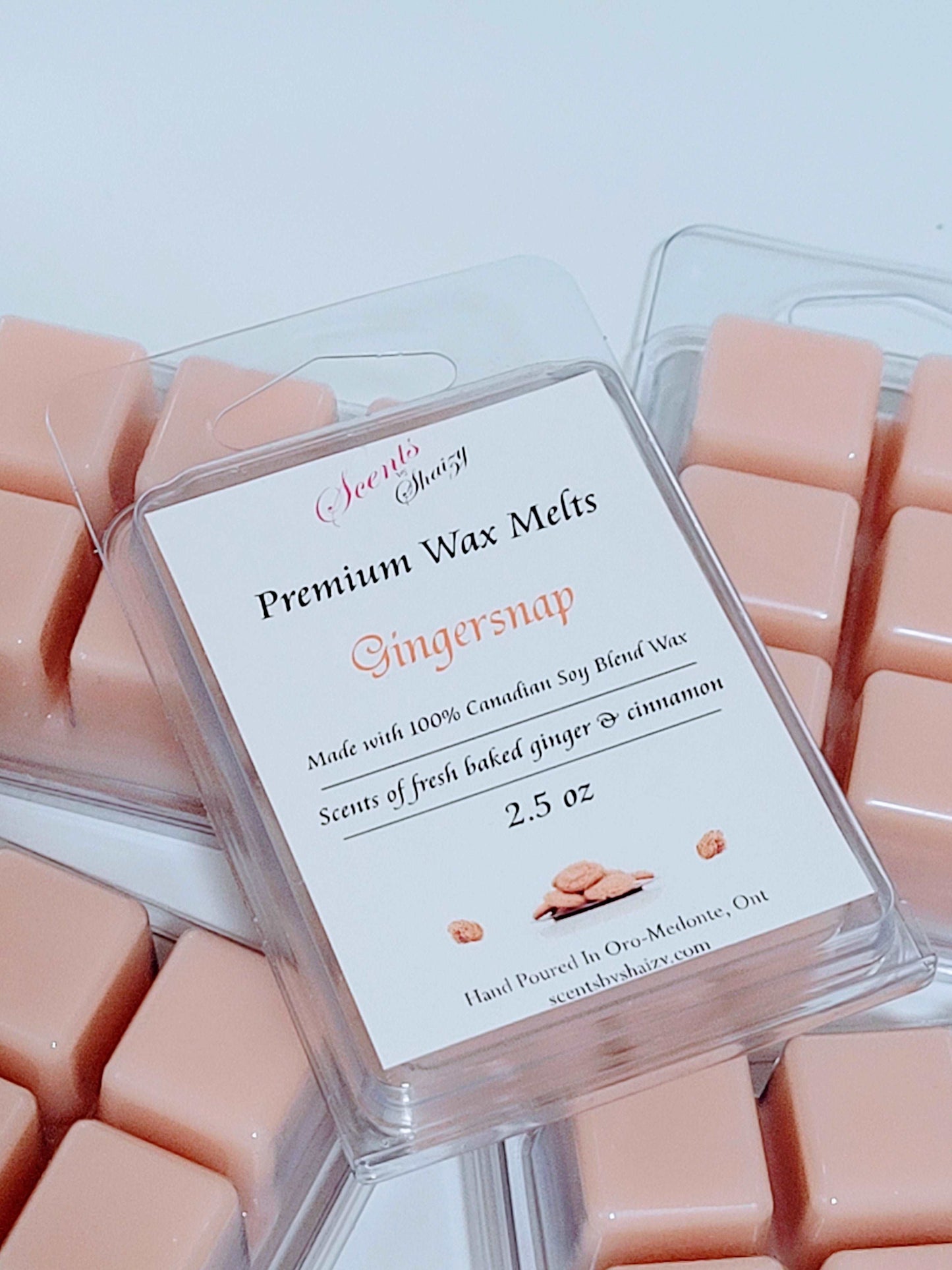 Gingersnap wax melt product - cozy ginger cinnamon sugar cookie scent - handcrafted Canadian soy blend wax melts