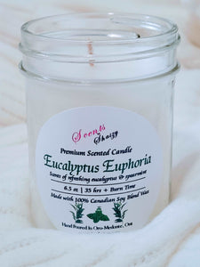 Eucalyptus Euphoria