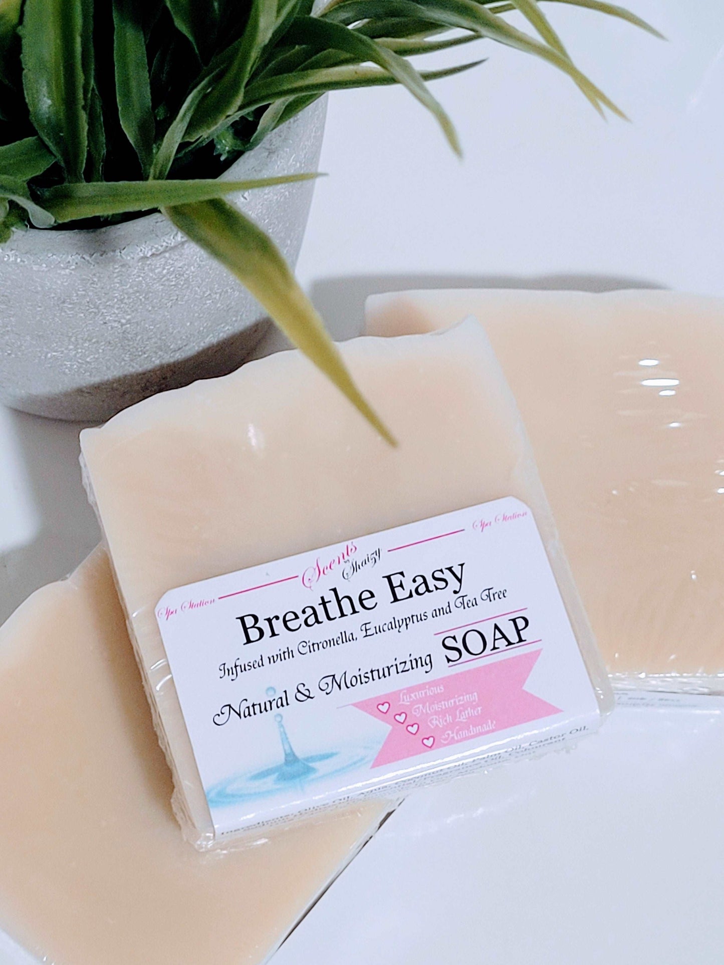 Breathe Easy | Handmade Soap