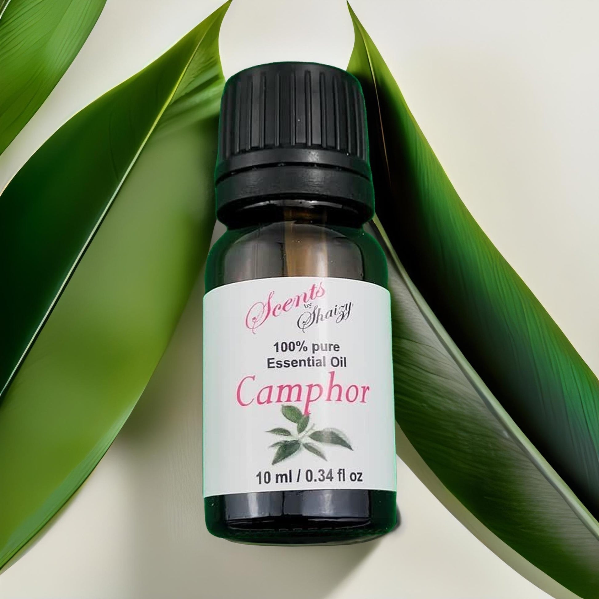 Camphor Essential Oils | All Natural Oils
