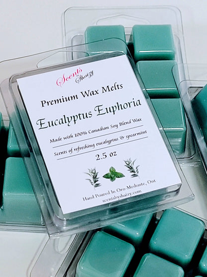 Eucalyptus Euphoria Wax Melt 🌿 - Scents By Shaizy