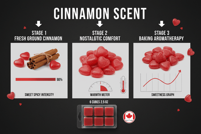Cinnamon Cent scent profile - fresh-ground cinnamon sweet spicy fragrance notes - luxury artisan winter wax melts Canada