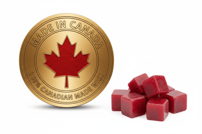 Cranberry Wax Melt 🍒 - Scents By Shaizy